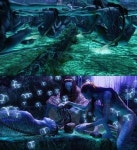 아바타 초보 강좌: 아바타 2를 기다리는 올바른 자세