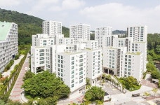 ‘검은 코끼리’의 비극, “바보야, 문제는 대통령이야”: 슬로우레터 12월19일.