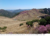 예산 없어요 내년에 고칠게요 창녕박물관 엉터리 해설