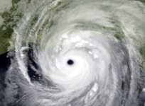 미국 허리케인 충격에 울산 경제가 가장 먼저 망가지는 이유.