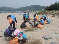 포항해수청, 민·관·군 합동 봄맞이 해안가 대청소 실시