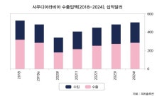 중동 해운항만시장, 인프라 확충으로 올해 턴어라운드 청사진