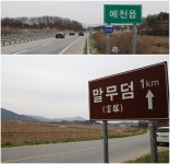 네 몹쓸 말들을 무덤에 묻어라