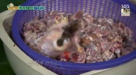 정글의 법칙 머리+눈 달린 원숭이요리 경악, 찬열 소고기뭇국 맛인데? 반전