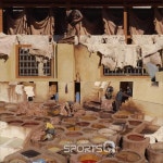 걸어서 세계 속으로 모로코 편, 하얀 도시 카사블랑카, 미로 도시 페스, 광활한 사하라 사막을 가다 (예고)