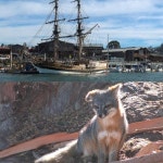 걸어서 세계속으로 미국 서부의 품격 센트럴 코스트를 가다...덴마크 마을 솔뱅, 샌타 바바라 미션, 모로베이의 풍광