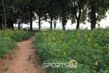 [이두영의 그곳에 가고 싶다] 옥룡이 나르샤 촬영지 고창 청보리밭