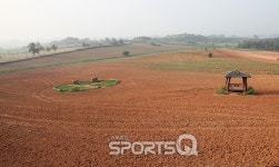 [이두영의 그곳에 가고 싶다] 옥룡이 나르샤 촬영지 고창 청보리밭