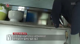 경주 전자발찌 토막살인 괴담 · 억대 사기 수경엄마 사건의 진실은? (궁금한 이야기 Y)