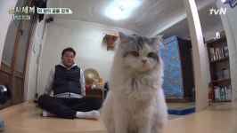 [뷰포인트] 삼시세끼 어촌편3 쿵이와 몽이, 나영석 PD의 동물사랑