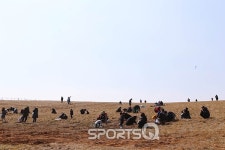 양평딸기밭, 안성팜랜드, 일산 킨텍스, 용인 한국민속촌...경기도 3월 축제 어디가 좋을까?