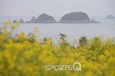거제도 가볼만한 곳 중 필수는 해금강·외도...바람의언덕과 공곶이, 몽돌해변은 선택