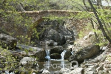 순천 선암사 4월에 가볼만한 곳으로 엄지척! 홍매 겹벚꽃 등 활짝 웃어 마음 달래주는 절집