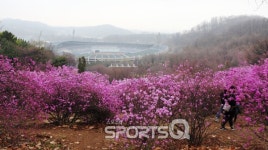 부천 원미산 진달래 축제 2017 부천 가볼만한 곳으로 강추! 도당산 벚꽃축제도 놓치지 마세요