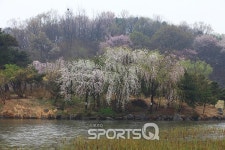 서울 포함한 수도권 드라이브 코스 3선...양평 양수리와 가평 북한강변, 파주 자유로, 오이도