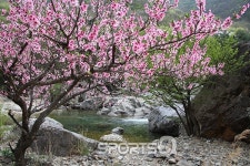 전북 진안 마이산 부근의 드라이브하기 좋은 곳 용담댐과 운일암 반일암, 덕유산 대둔산과 함께 봄여름에 갈만한 계곡여행 장소로 굿!