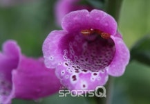 인천대공원 벚꽃축제 끝나고 자전거도로·동물원·인천수목원·치유숲엔 신록이 성큼...인천대공원 캠핑장 바베큐존 넓고 쾌적