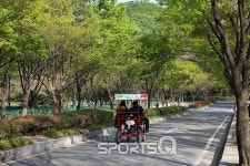 인천대공원 벚꽃축제 끝나고 자전거도로·동물원·인천수목원·치유숲엔 신록이 성큼...인천대공원 캠핑장 바베큐존 넓고 쾌적