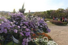 인천대공원 벚꽃축제 끝나고 자전거도로·동물원·인천수목원·치유숲엔 신록이 성큼...인천대공원 캠핑장 바베큐존 넓고 쾌적