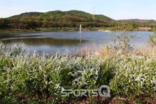 인천대공원 벚꽃축제 끝나고 자전거도로·동물원·인천수목원·치유숲엔 신록이 성큼...인천대공원 캠핑장 바베큐존 넓고 쾌적