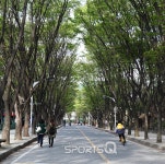 인천대공원 벚꽃축제 끝나고 자전거도로·동물원·인천수목원·치유숲엔 신록이 성큼...인천대공원 캠핑장 바베큐존 넓고 쾌적