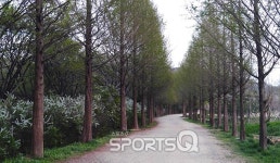 인천대공원 벚꽃축제 끝나고 자전거도로·동물원·인천수목원·치유숲엔 신록이 성큼...인천대공원 캠핑장 바베큐존 넓고 쾌적