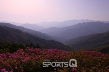 5월 임시공휴일 낀 연휴 남원에서 가볼만한 곳 중 으뜸은 지리산 바래봉 철쭉제, 남원 실상사와 춘향테마파크도 볼거리