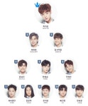 [초점Q] 프로듀스101 시즌2 투표 순위, 박우담 이변의 1위? 박지훈·이대휘는?