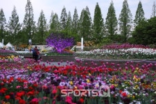 주말에 가볼만한 곳 경기도 일산호수공원 고양국제꽃박람회(일산꽃박람회) 5월 축제의 백미...가는 길·주차·맛집·입장료 안내
