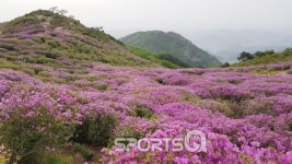 밀양아리랑대축제·진주논개제·산청황매산철쭉제·합천 황매산철쭉제·부산 감천문화마을축제...부산 경남 5월축제 가볼만한 곳 찜!