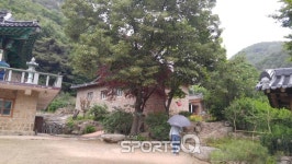 경기도 파주 감악산 출렁다리, 수도권 가볼만한 곳으로 인기폭발...등산코스·둘레길·캠핑장 등 인간친화적