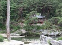 명승지 거창 수승대,야영장과 오토캠핑장을 숙소삼아 무더위 훌훌! 펜션·맛집 많고 함양상림숲·농월정·용추계곡도 인근에