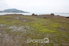 전라남도 가볼만한 곳 무안 톱머리 해수욕장,무안생태갯벌센터· 회산백련지와 1박2일 남도여행 무안 코스로 최적...맛집·펜션도 즐비