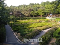 부천 백만송이 장미축제장과 도당산수목원 걷기 후 영화 재심·보안관이나 무료로 관람할까?