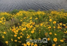 경인·인천 아라뱃길 자전거 여행 천국, 아라뱃길 유람선과 부두는 파리 날려...시원한 강바람만이 국고낭비 달래주네