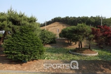 7월 가볼만한 곳으로 시선집중  경기도 시흥연꽃테마파크..시흥 관곡지와 연성IC, 강희맹은 무슨 관계?