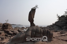 송지호해수욕장 인근 서낭바위 강원도 가볼만한 곳으로 엄지 척! 고성 라벤터 축제장 등으로 여행할 때 고성 여행코스에 꼭!