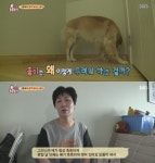 [TV컷Q] 동물농장 전투기 소리에 불안한 견공 소음 공해의 실체 충격
