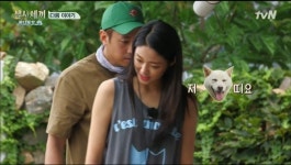 [초점Q] 삼시세끼 바다목장편, 게스트 전략 성공적? 설현효과 기대되는 이유