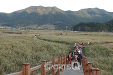 국내 최고의 갈대명소 전라남도 순천만 습지, 2017년 가을 여행주간 맞아 11월초 축제 열려...순천만국가정원·민박집 많은 낙안읍성... 