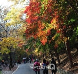 경기도 동두천 소요산 단풍절정, 11월초에도 며칠간은 자재암까지 등산코스 곳곳이 심홍빛 가볼만한 여행지로 추천...가는길·주차장·식당가... 