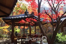 경기도 동두천 소요산 단풍절정, 11월초에도 며칠간은 자재암까지 등산코스 곳곳이 심홍빛 가볼만한 여행지로 추천...가는길·주차장·식당가... 