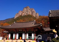 단풍 명소로 추천되는 경북 청송 주왕산 주방천계곡과 절골 주산지... 상의리주차장 부근에 토속맛집과 민박·모텔·펜션 등 숙소 몰려있어