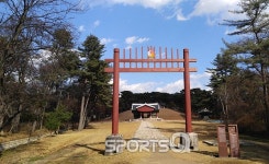 경기도 고양시와 서울에서 카메라 들고 가볼만한 곳 서삼릉, 렛츠런팜원당(원당종마목장)과 함께 벚꽃피는 봄은 물론 11월 늦가을에도 연인들... 