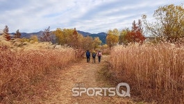 부산 1박2일 여행으로 가볼만한 곳 중 최고는 겨울바다 여행명소인 해운대해수욕장, 갈맷길 700리 걷기코스는 요즘 시기에 추천되는 둘레길 명소