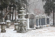 겨울에 가볼만한 여행지로 추천! 전남순천의 가볼만한 곳은 순천만국가정원 별빛축제· 낙안읍성민속마을 근처 온천·아귀탕 맛집 등