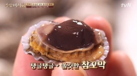 수요미식회 꼬막 맛집 어디? 새꼬막은 가락동-참꼬막은 방이동