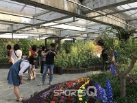 서울 성동구 서울숲 나비정원 아이와 함께 가볼만한 곳으로 추천! 근처에 갤러리아 포레의 보타니카-보라코끼리 전시 등 볼거리와 감자탕... 