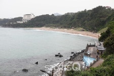 위미리수국길,돈내코유원지,하도리,신창풍차해안도로,김경숙해바라기농장 등 여행지와 제주맥주축제 짠페스티벌 등 제주도 7월에 가볼만한... 