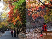 경기도 동두천 소요산의 단풍놀이 어때요? 축제시기 지났지만 11월초까지 활활!